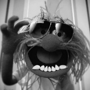 Meet your Posher, Bruce